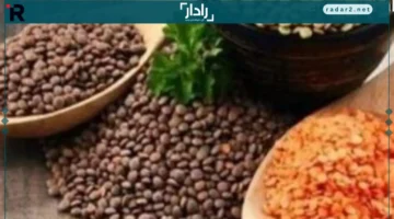 سعر العدس اليوم السبت 20 ديسمبر 2025 في كفر الشيخ يتصدر السوق